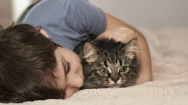 Toxoplasmose oculaire : connaître les causes et les symptômes pour mieux traiter
